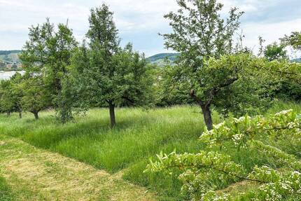 Ein Ort, zwei Welten: Wohnen und Arbeiten vereint - Würzburg Heidingsfeld