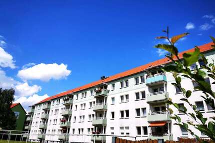 Wohnung zum Mieten in Löbau 192,00 € 31 m²
