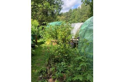 Gartengrundstück in der Natur bei Gundelsheim Bamberg