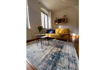 Möblierte Wohnung zur Zwischenmiete, ab März 2026 - Dresden Neustadt