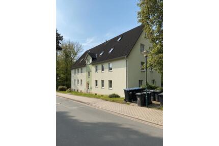 Souterrain-Wohlfühloase mit Sauna & offener Wohnküche - Rudolstadt