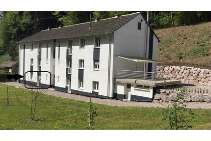2 Zimmer Wohnung Schwörstadt - 650,00&nbsp;EUR Kaltmiete, ca.&nbsp; 45,00&nbsp;m&sup2; in Schwörstadt (PLZ: 79739)
