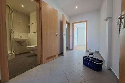 Wohnung zum Mieten in Chemnitz 316,00 € 57.5 m²