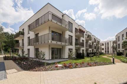 Wohnung zum Mieten in Dresden 450,00 € 37.91 m²