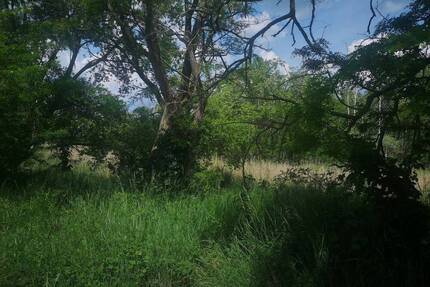 SHAREDEAL - ca. 4,5 ha großes Grundstück mit Bestandsgebäuden - Eilenburg