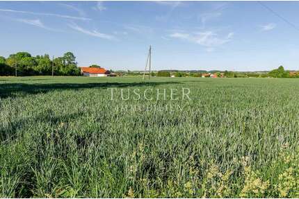 Grundstück zu verkaufen in Hohenlinden 300.000,00 € 15000 m²
