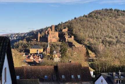 Wohnung zum Kaufen in Wertheim 290.000,00 € 123.37 m²