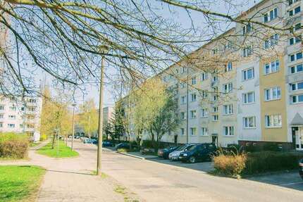 Wohnung zum Mieten in Prenzlau 410,00 € 60.8 m²