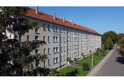 - Einziehen und Wohlfühlen - 265,00&nbsp;EUR Kaltmiete, ca.&nbsp; 46,24&nbsp;m&sup2; in Borna (PLZ: 04552)