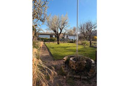 Kleingarten Cottbus Schmellwitz