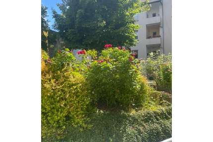Wohnung zum Kaufen in Hagen 250.000,00 € 121 m²