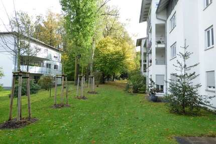 Wohnung zum Mieten in Chemnitz 350,00 € 50 m²