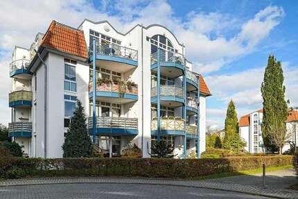 Wohnung zum Mieten in Dresden 310,00 € 33 m²