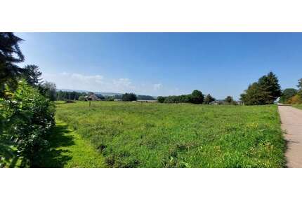 Grundstück zu verkaufen in Hochheim 47.380,00 € 412 m²