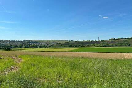 Grundstück zu verkaufen in Besigheim 419.000,00 € 448 m²