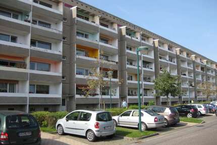Wohnung zum Mieten in Anklam 313,95 € 62.79 m²