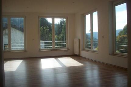 Attraktive 3-Zimmer Wohnung in ruhiger Lage, Ziegelhausen - Heidelberg Peterstal