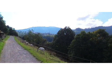 Frühjahrs-Schnäppchen! 630qm Freizeitgrundstück nahe der Murg - Forbach