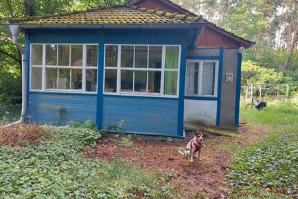 Waldidylle: Grundstück 1000qm mit altem Häuschen in Fichtenwalde - Beelitz