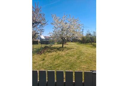 Pachtgarten in Neubukow - 250,00&nbsp;EUR Kaltmiete, ca.&nbsp; 0,00&nbsp;m&sup2; in Sanitz (PLZ: 18190)