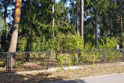 Grundstück zu verkaufen in WandlitzOT Basdorf 450.000,00 € 1931 m² - Wandlitz/OT Basdorf