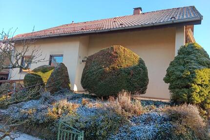 Freistehendes EFH mit Nebengebäude und großem Garten - Sinsheim