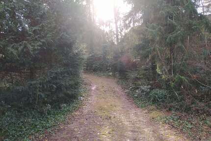 Grundstück zu verkaufen in Wedemark 300.000,00 € 1364 m²