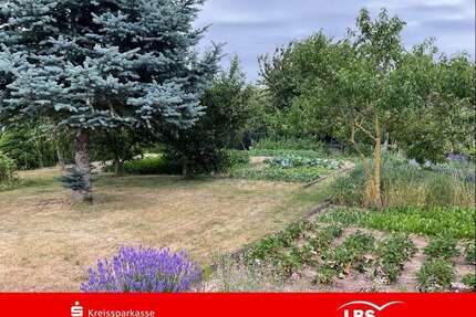 Grundstück zu verkaufen in Eichenbarleben 70.000,00 € 806 m²