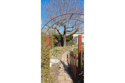 Pachtgarten abzugeben - 1.750,00&nbsp;EUR Kaltmiete, ca.&nbsp; 0,00&nbsp;m&sup2; in Magdeburg (PLZ: 39114) Brückfeld