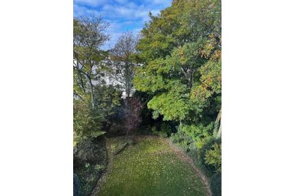 1-Zimmer-Untermietapartment Oberkassel - Düsseldorf Niederkassel