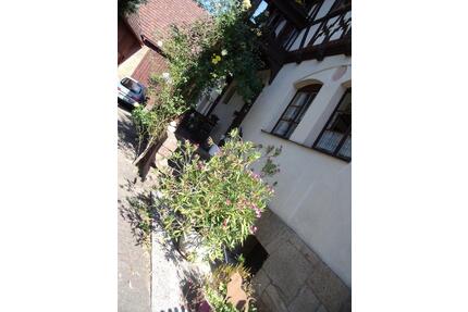 Charmante 2 Zi Whg in historischer Künstlervilla, 77qm, Garten - Bad Bocklet