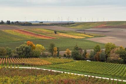 Dolgesheim: 1.200 m² Garten & Grünland mit Bachlauf (befahrbar) - Mommenheim