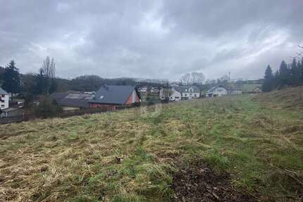 Grundstück zu verkaufen in Utscheid 44.100,00 € 1711 m²