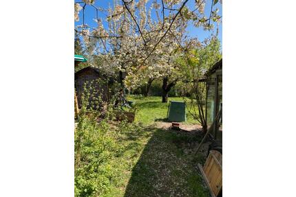 3-Zimmer-Wohnung - 650,00&nbsp;EUR Kaltmiete, ca.&nbsp; 75,00&nbsp;m&sup2; in Goslar (PLZ: 38690) Immenrode