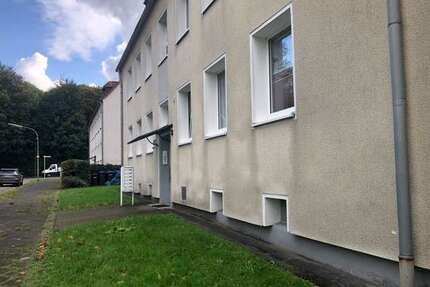 Wohnung zum Mieten in Herne 319,00 € 37 m²