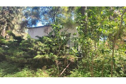 Bungalow am Mochowsee - 32.000,00&nbsp;EUR Kaufpreis, ca.&nbsp; 31,00&nbsp;m&sup2; in Märkische Heide (PLZ: 15913)