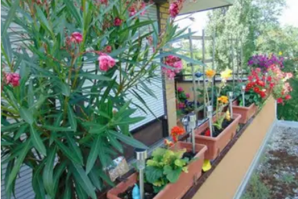 Wohnung zum Mieten in München 815,00 € 30 m²