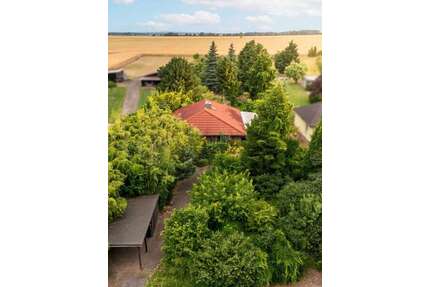 Haus zum Kaufen in KetzinHavel OT Zachow 349.000,00 € 96 m² - Ketzin/Havel OT Zachow