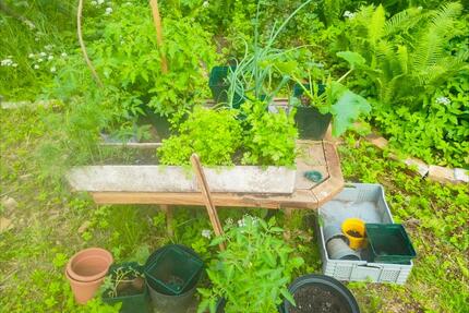 Erholungsgrundstück zur Pacht am Straussee - Strausberg