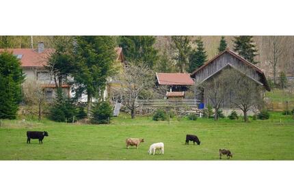 Urlaub auf dem Simmerlhof - 4*Ferienwohnung* 05.04-12.04.26 2E+2K - Traitsching