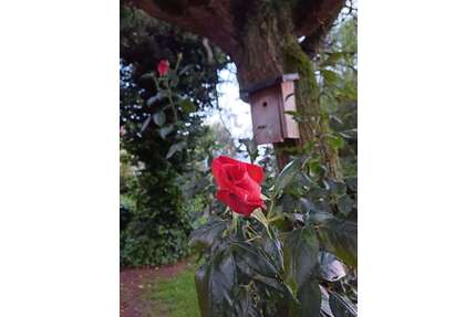 Wohnung zum Mieten in Sendenhorst Albersloh 1.000,00 € 80 m² - Sendenhorst / Albersloh