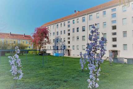 Wohnung zum Mieten in Wurzen 355,00 € 50.85 m²