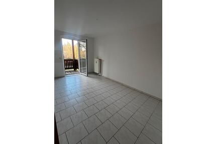 SANIERTE 1-RAUM-WOHNUNG MIT GROSSEM BALKON IN RUHIGER, NATURNAHER LAGE - Döbeln