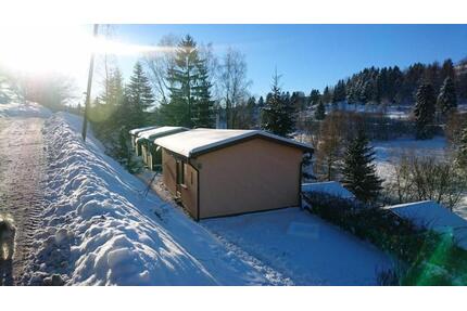 Ruhiges Ferienhaus am Waldrand mit Sauna und Kamin (Hellaberg II) - Schleusegrund