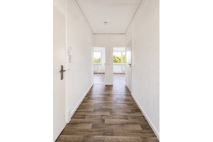 Wohnung zum Mieten in Halle (Saale) 955,00 € 112.18 m²