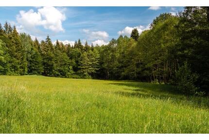 Grünland Wiese - 5,00&nbsp;EUR Kaltmiete, ca.&nbsp; 0,00&nbsp;m&sup2; in Haundorf (PLZ: 91729)