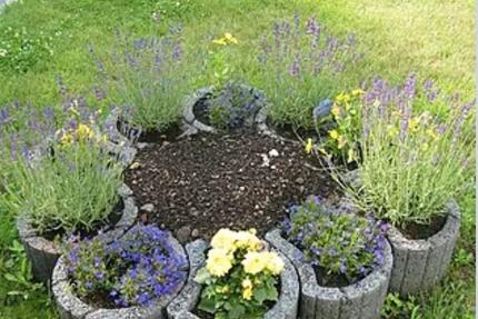 Blumen topf - 2,00&nbsp;EUR Kaltmiete, ca.&nbsp; 20,00&nbsp;m&sup2; in Berlin (PLZ: 13359) Mitte