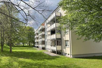 Wohnung zum Mieten in Chemnitz 330,00 € 61 m²