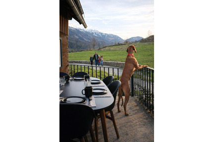 Urlaub mit Hund – Ferienhaus in Kärnten - Rudelzhausen