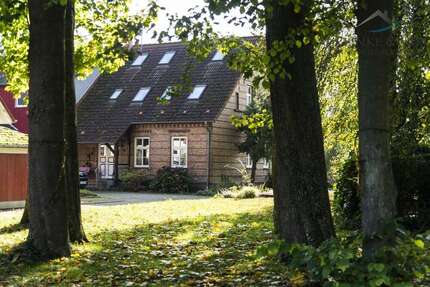 Haus zum Kaufen in Brandshagen Niederhof 324.500,00 € 208.42 m² - Brandshagen / Niederhof